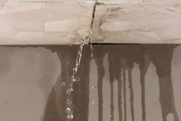 Professional Burst Pipe Cleanup technician working in Muscle Shoals, AL